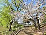 周辺：白山公園 (849m)