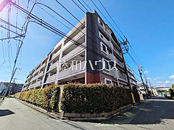 物件画像 サンアリーナ調布