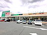 周辺：サンドラッグ 八王子片倉店 (1070m)