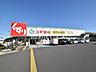 周辺：スギ薬局東村山秋津店 (540m)