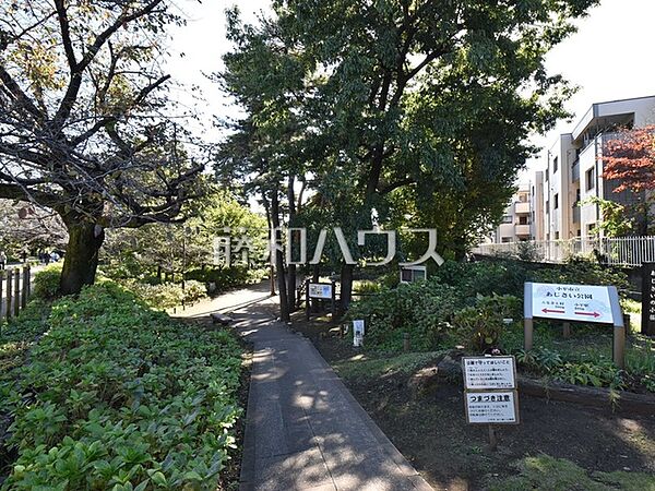 周辺を拡大表示