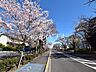 周辺：さくら通り(国立市富士見台1丁目～3丁目) (1000m)