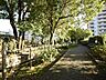 周辺：鈴木町親水公園 (430m)