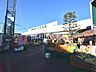周辺：ジャパンミート卸売市場　東村山店 (810m)