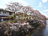 周辺：石神井川沿い桜並木(桜台) (970m)