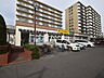 周辺：いなげやina21玉川上水駅前店 (490m)