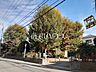 周辺：新町しいの木公園 (380m)