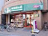周辺：まいばすけっと 中野弥生町1丁目店 (380m)