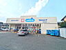 周辺：ウエルシア練馬高松店 (110m)