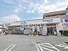 周辺：ウエルシア杉並松ノ木店 (1240m)