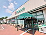 周辺：ピーコックストア 国立弁天通り店 (230m)
