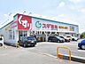 周辺：スギ薬局清瀬店 (800m)
