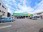 ドラッグエース朝霞宮戸店 (1330m)