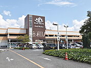 スーパーアルプス 日野店 (410m)