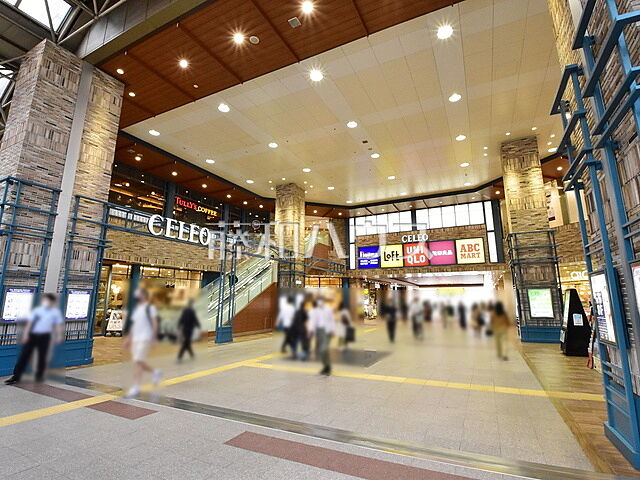 周辺 泊第一ビル 6階/6階