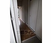 穏やかな木漏れ日〜