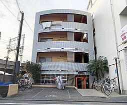 ＰＩＮＥ　ＴＲＥＥ