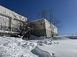 物件画像 七飯町本町4丁目土地