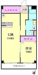 シャトー富士 1LDKの間取図画像