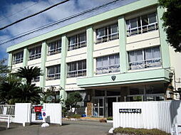 和歌山市福島・土地・126906