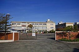 和歌山市楠見中・土地・123119