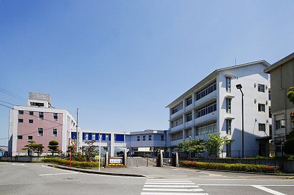 Beautiful mountainous landscape with colorful sky