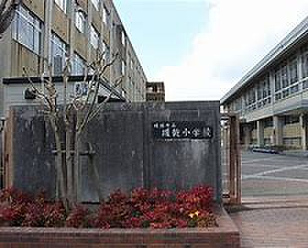 画像19:姫路市立城乾小学校