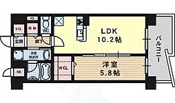 カンマキーノ