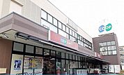 コープ様まで800m