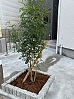 京都府長岡京市調子1丁目：物件画像／株式会社Y‘ｓ　賃貸ショップ　ルームズ