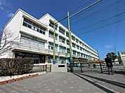 横浜市立新吉田小学校(439m)