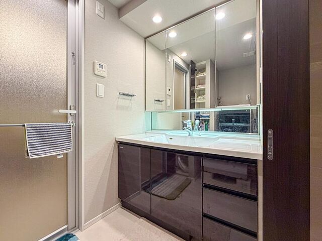 洗面 ベイサイドタワー晴海 33階/-