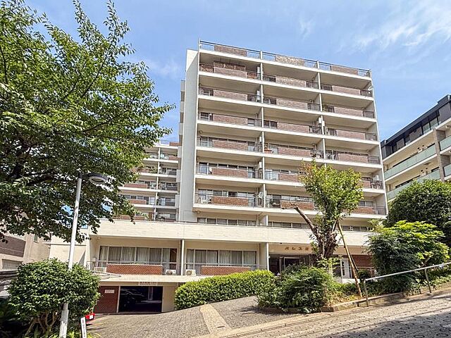 外観 パレス三條 7階/-