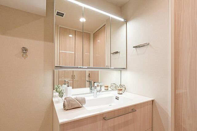 洗面 シティタワー麻布十番 21階/-