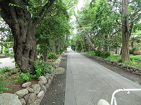 鷺草園 720m
