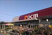 DCM東川口店（237m）
