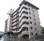 大阪府門真市三ツ島2丁目：物件画像／ちんたいぷらざ　タートルハウス