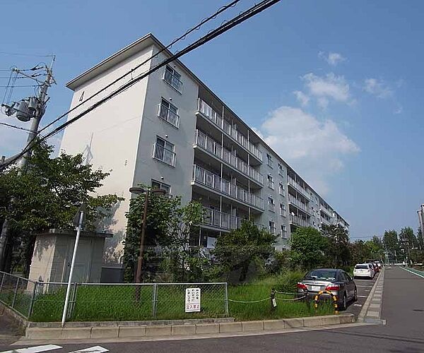 長岡天神ハイツ 13-101｜京都府長岡京市八条が丘2丁目(賃貸マンション3LDK・1階・68.48㎡)の写真 その3