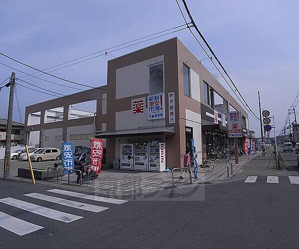 画像5:新鮮激安市場　樫原店まで280m ドラッグストアが併設され使いやすいですよ