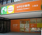 ファルコはやぶさ薬局三条店まで358m 京阪三条徒歩2分の調剤薬局です。