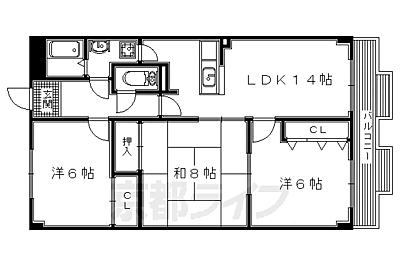 間取り:間取 間取り:間取