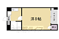 ピュアー紙屋川3階3.8万円