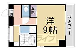 京都市営烏丸線 烏丸御池駅 徒歩4分 5階/-