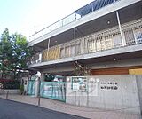 山科幼稚園まで291m