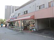ユネスコ