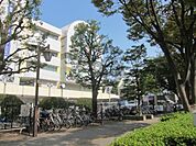 光ヶ丘ＩＭＡ