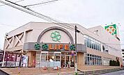 ライフ赤塚店