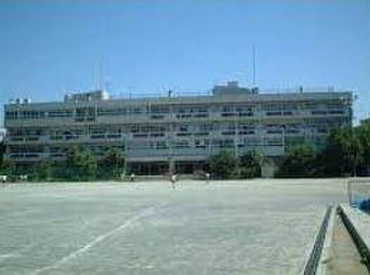 周辺 国分寺マンション 2階/-