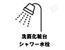 その他：忙しい朝もスマートに。シャワー付洗面台で、寝癖直しから掃除まで快適に。