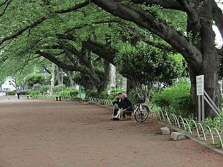 旭が丘中央公園まで約504m